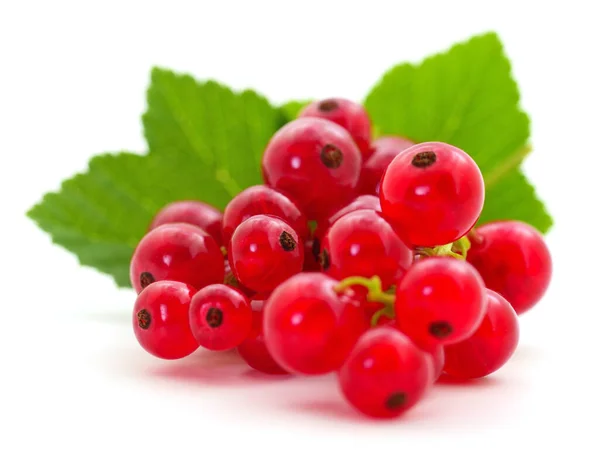 Rote Johannisbeeren Mit Grünen Blättern Isoliert Auf Weißem Hintergrund — Stockfoto