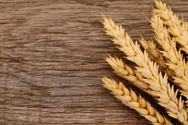 Eski ahşap arka planda buğday kulakları.