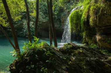 Küçük bir göl ile orman şelale
