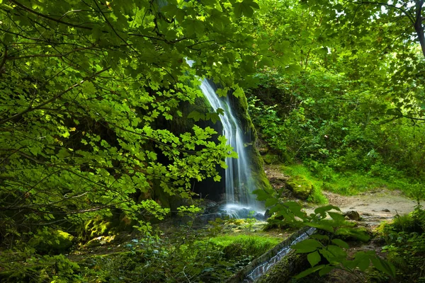 Kunstmatige Waterval Onder Verse Groene Bladeren — Stockfoto