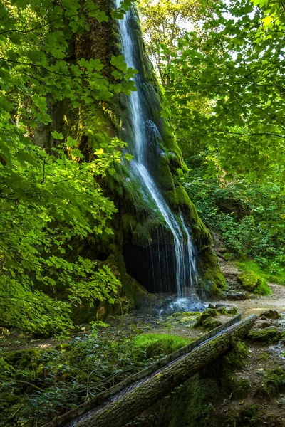 Umělý Vodopád Mezi Čerstvé Zelené Listy — Stock fotografie
