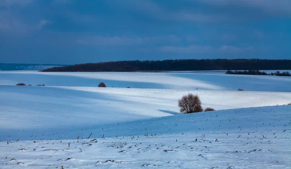 太陽に照らされて雪に覆われた畑や丘など — ストック写真