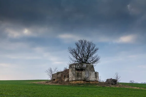 Старый разрушенный бункер — стоковое фото