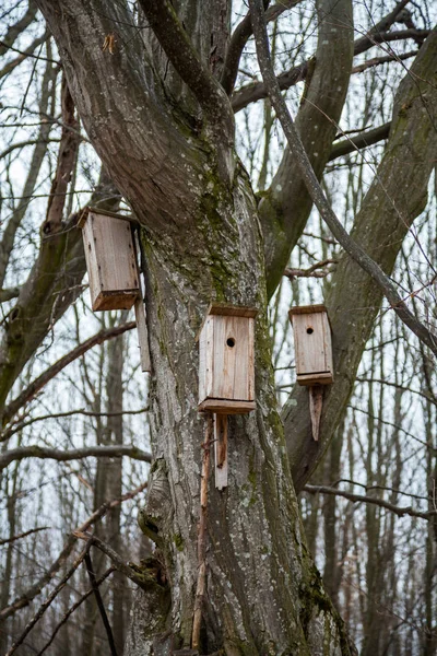 Birdhouses — Stock Photo, Image