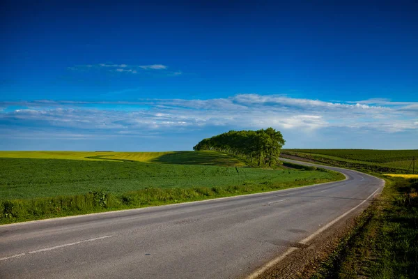 Asfalterad väg bland fält — Stockfoto