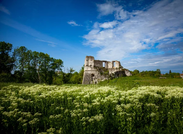 Ruins of old fortress — Stock Photo, Image