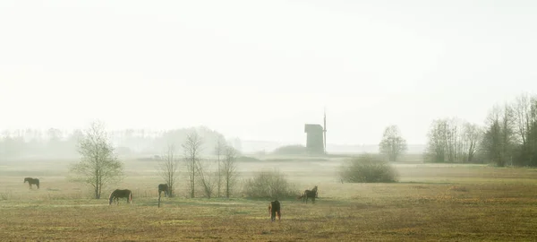 Nebliger Morgen mit alter Windmühle — Stockfoto
