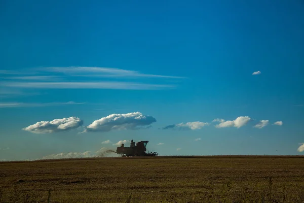 Raccoglitore raccoglie il raccolto agricolo — Foto Stock