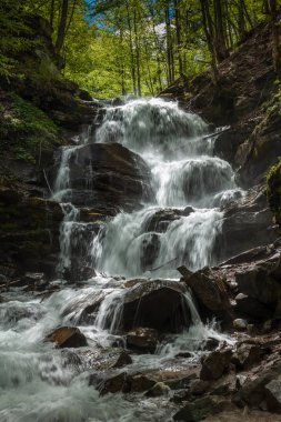 Karpat Dağları 'nda hızlı şelale