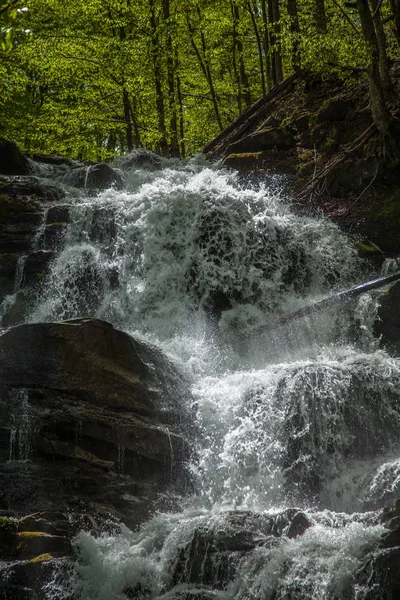 Cascata rapida nelle montagne dei Carpazi — Foto Stock