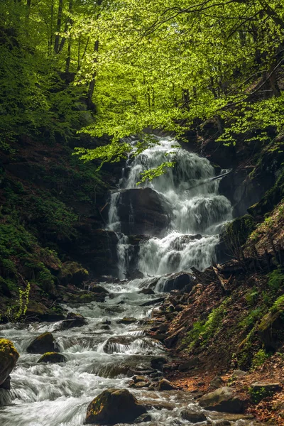 Szybki wodospad w Karpatach — Zdjęcie stockowe