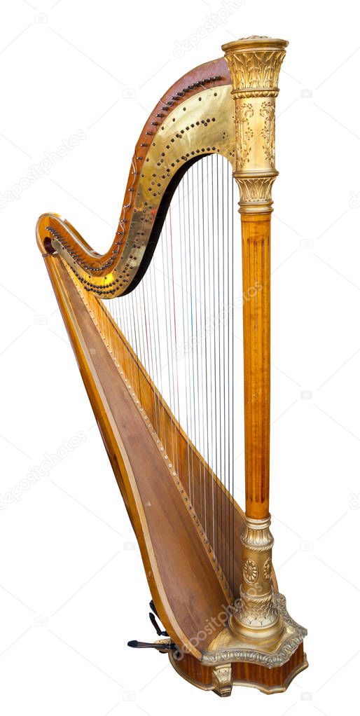 Harp 