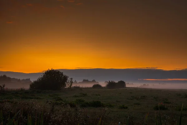 Evening Fog Spreads Beautifully Ground — Stock Photo, Image