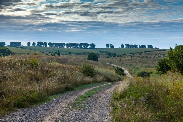 Estrada entre campos abandonados — Fotografia de Stock