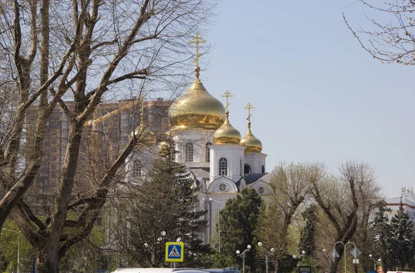 Krasnodar Rusia Abril 2018 Catedral Militar Santa Bendita Príncipe Alexander — Foto de Stock