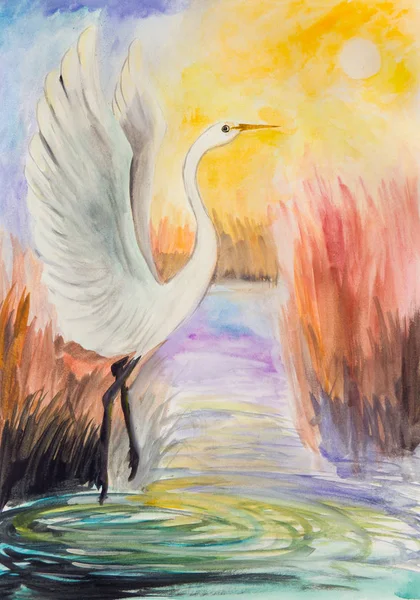 早晨在湖上 白色苍鹭在升起的太阳的背景升起了它的翼 — 图库照片