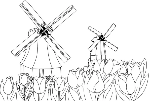 Çiçek açan laleler yel değirmenleri arka plan üzerinde. Hollanda manzara. Serbest kroki çizim için yetişkin antistress boyama kitabı