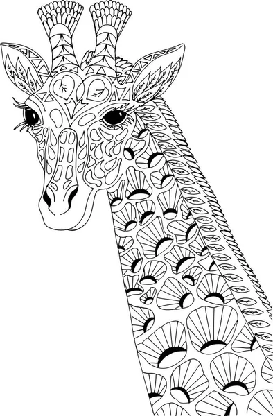 Retrato Uma Girafa Desenho Esboço Mão Livre Para Livro Colorir — Vetor de Stock