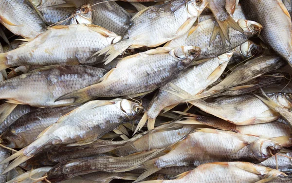 Hintergrund Des Trockenfisches Viel Getrocknete Rotaugen — Stockfoto