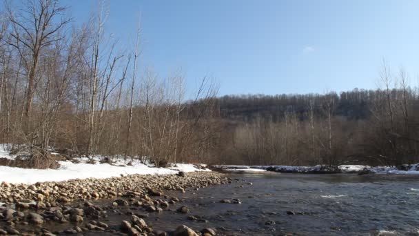 Río Taiga Principios Primavera — Vídeo de stock