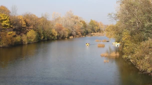 Blick Von Oben Auf Fluss Und Wald Der Fluss Psekups — Stockvideo