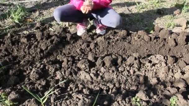 Děti Zasadit Cibulky Zahradě Cibule Zasazen Sudé Řádky — Stock video