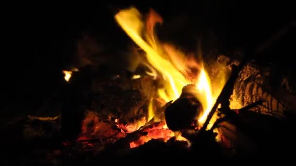 Hořící Oheň Dříví Noci — Stock video