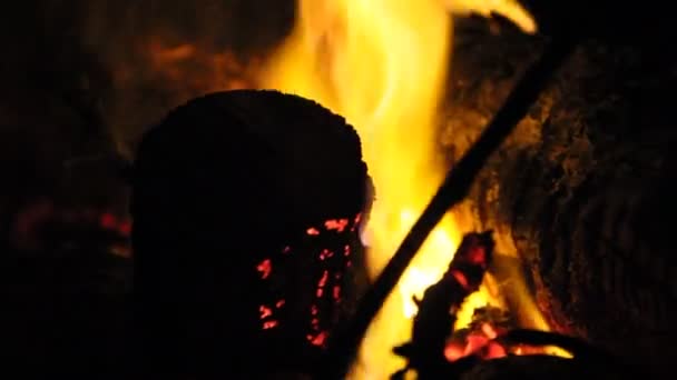 Палаючий Вогонь Дровами Вночі — стокове відео