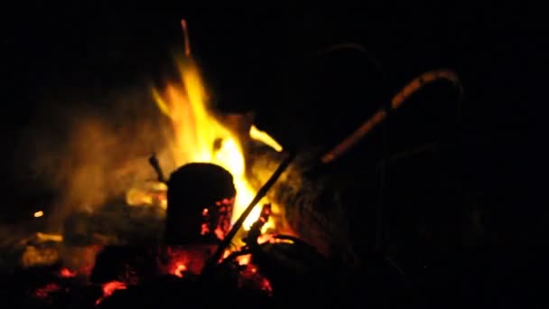 Burning Fire Firewood Night — Stock Video