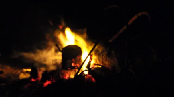Fuego Ardiente Con Leña Por Noche — Vídeo de stock
