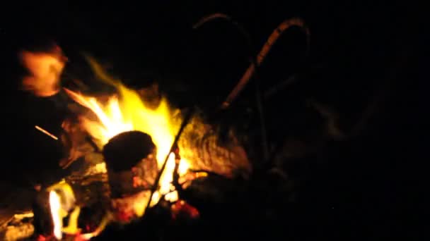 Burning Fire Firewood Night — Stock Video