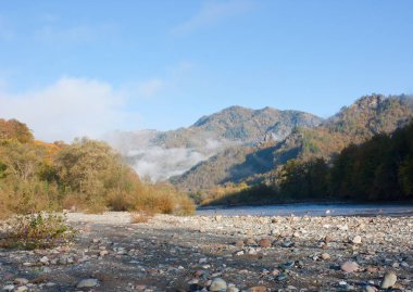 Sonbahar dağ manzarası. Dağ Nehri Vadisi sabahın erken saatlerinde