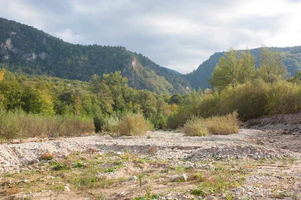 Orman Nehri üzerinde parlak sonbahar günü. Kurdzhips Nehri Krasnodar bölgesi.