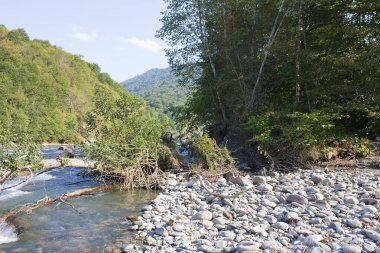 Güzel manzara nehir ve dağ. Kuzey Kafkasya, Krasnodar Krayı ipini nehirdir