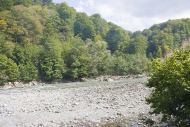 Güzel manzara nehir ve dağ. Kuzey Kafkasya, Krasnodar Krayı ipini nehirdir