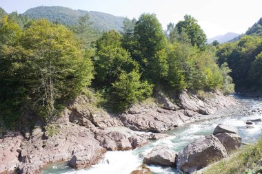 Güzel manzara nehir ve dağ. Kuzey Kafkasya, Krasnodar Krayı ipini nehirdir