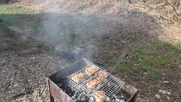 Memasak Barbekyu Panggangan Daging Digoreng Atas Bara — Stok Video