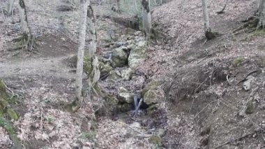 Bahar Orman dağlarda. Dik bir yamaçta basamaklı bahar brook