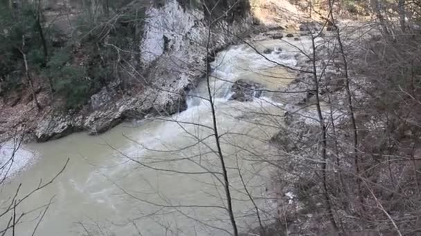 Ταχεία Ορεινό Ποτάμι Που Ρέει Ανάμεσα Πέτρες — Αρχείο Βίντεο