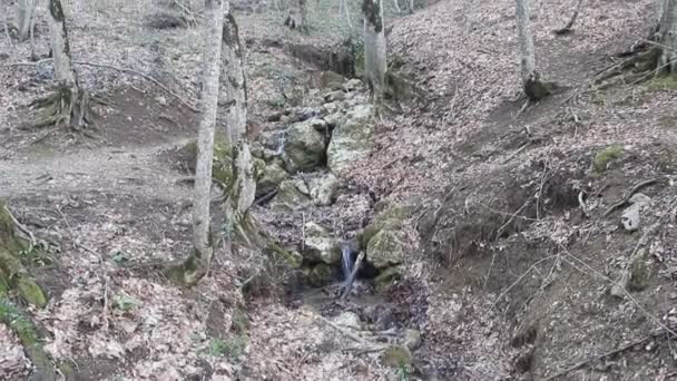 Bosque Primavera Las Montañas Arroyo Primavera Cascada Una Pendiente Pronunciada — Vídeo de stock