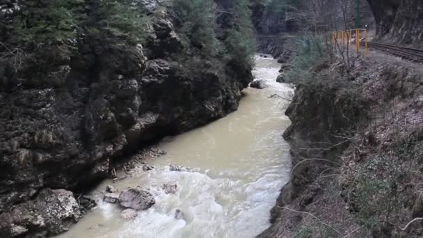 急速な山川の石の間で流れる — ストック動画