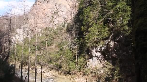 Rapid Mountain River Flowing Stones — Stock Video