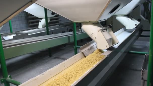 Production Pâtes Les Pâtes Empilées Sur Tapis Roulant — Video