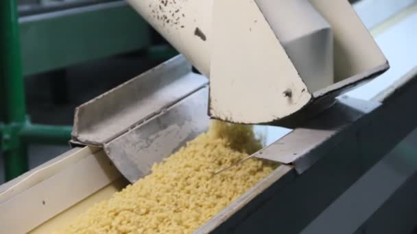 Produktionen Pasta Pasta Staplas Ett Transportband — Stockvideo