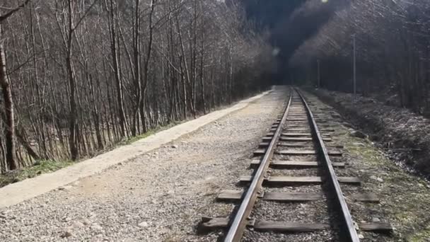 Guam Gorge Narrow Gauge Railway Caucasus Russia — Stock Video