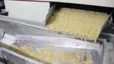 Makarna üretimi. Konveyör bant üzerinde Kazıklı makarna