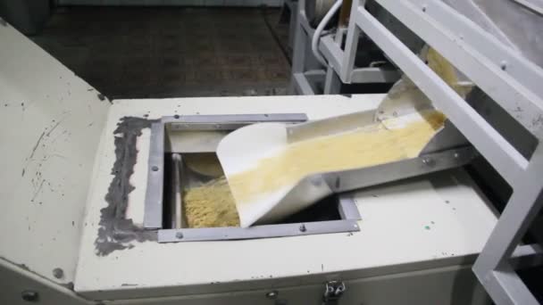 Production Pasta Pasta Piled Conveyor Belt — Stock Video