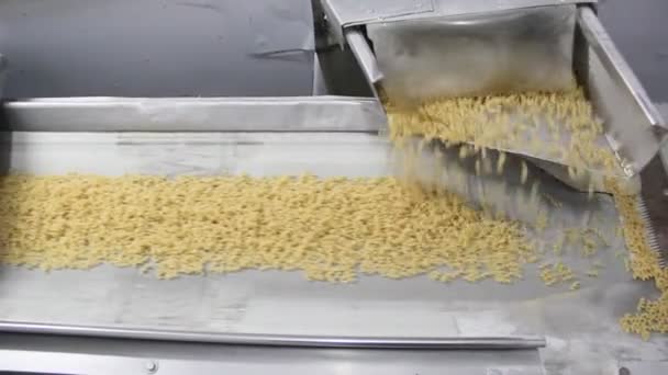 Producción Pasta Pasta Apilada Una Cinta Transportadora — Vídeo de stock