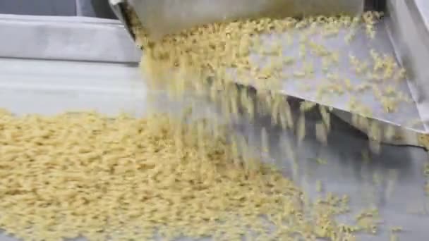 Produktionen Pasta Pasta Staplas Ett Transportband — Stockvideo