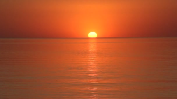 美丽的日落在海上 平静的大海 — 图库视频影像